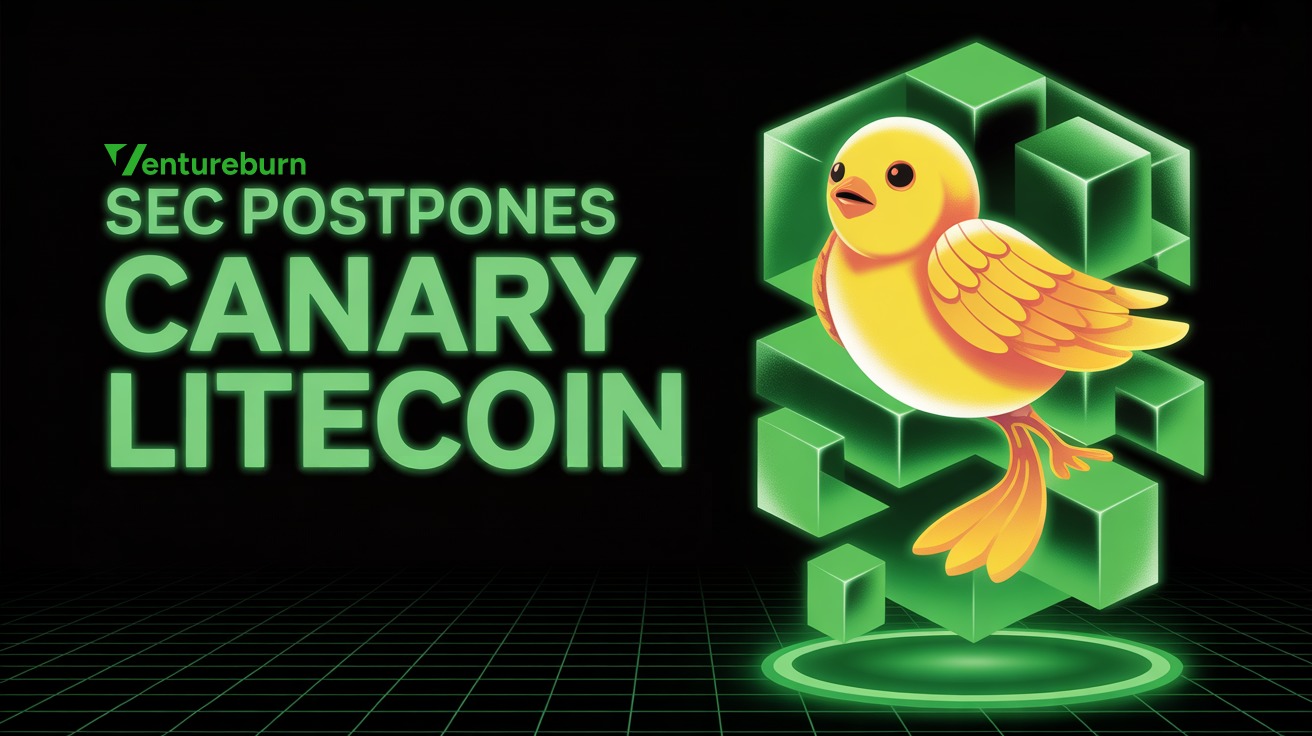 canary