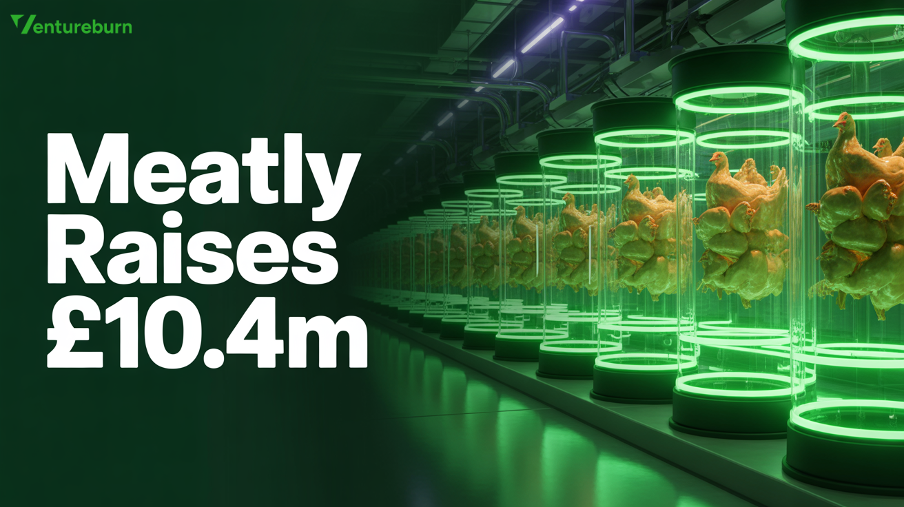 Meatly raises £10.4M Series A to build Europe’s largest cultivated meat facility for pet food production